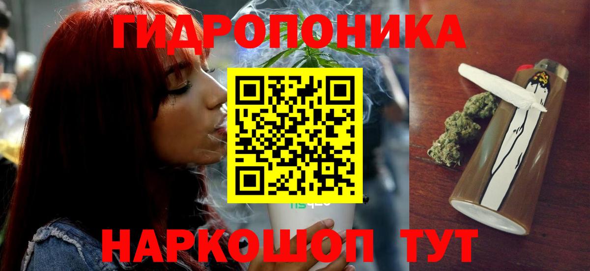 Марихуана сатива  Бошки марихуана план  Элиста  Шишки марихуана THC 21%  Вход с VPN 